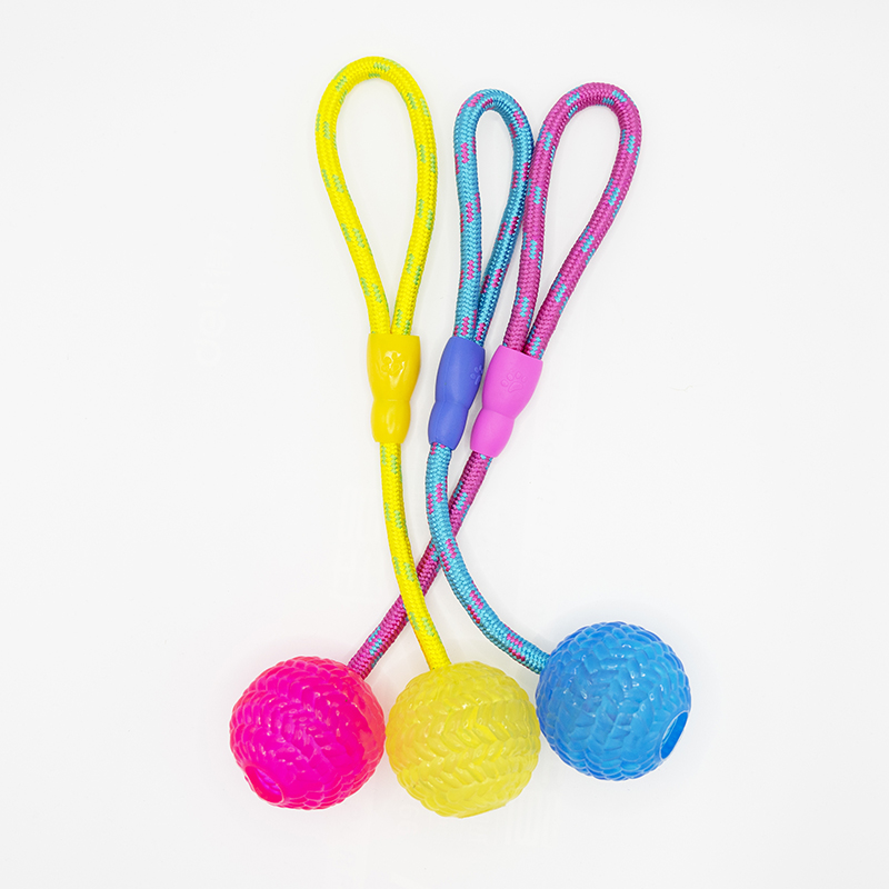 Plastic Ball Cotton Rope Dog Toy