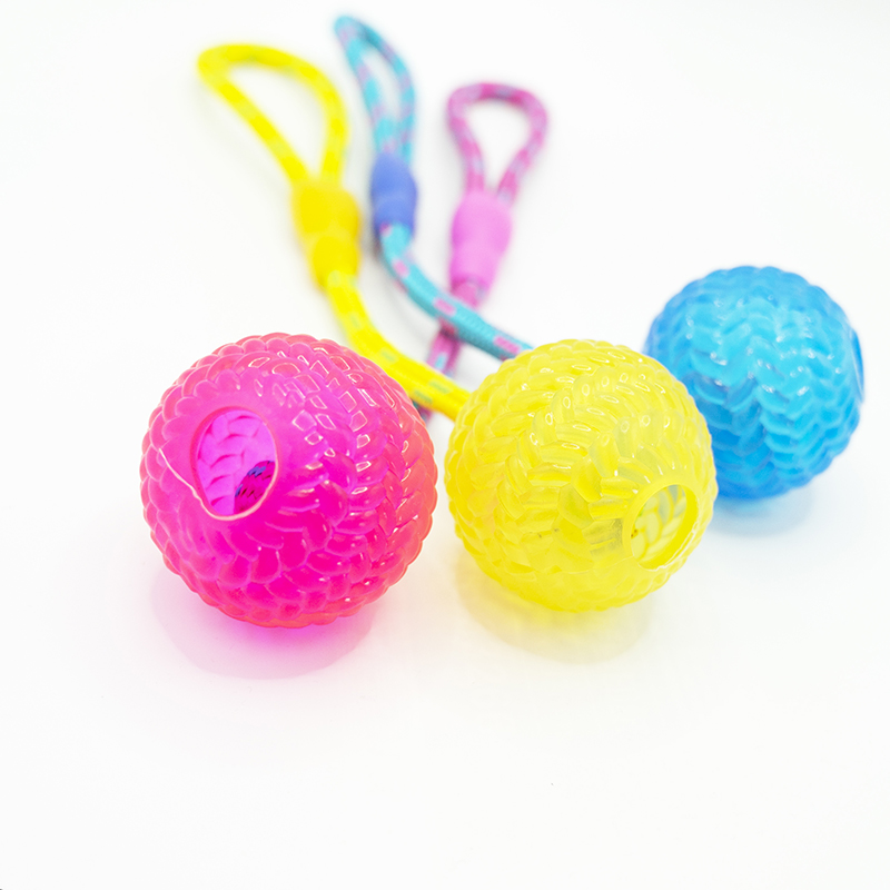 Plastic Ball Cotton Rope Dog Toy